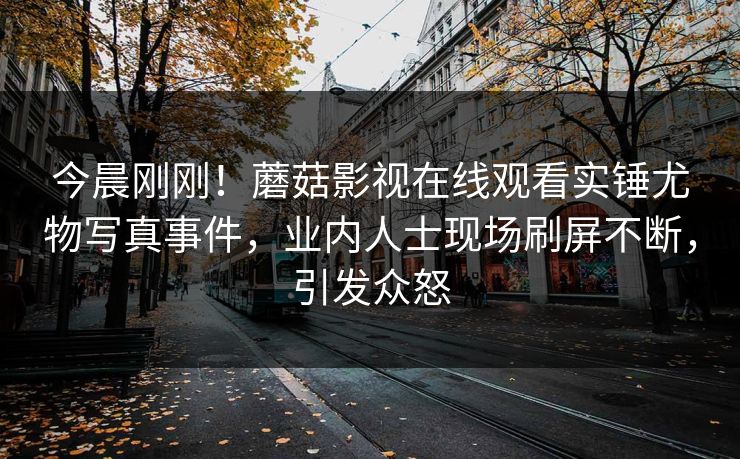 今晨刚刚！蘑菇影视在线观看实锤尤物写真事件，业内人士现场刷屏不断，引发众怒