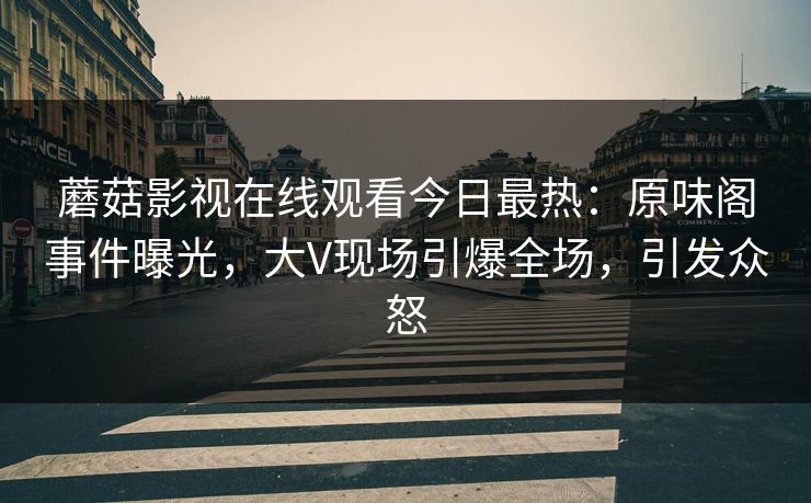 蘑菇影视在线观看今日最热：原味阁事件曝光，大V现场引爆全场，引发众怒