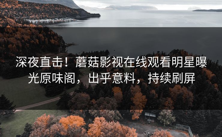深夜直击！蘑菇影视在线观看明星曝光原味阁，出乎意料，持续刷屏