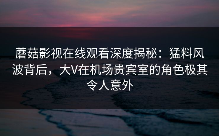 蘑菇影视在线观看深度揭秘:猛料风波背后,大V在机场贵宾室的角色极其令人意外