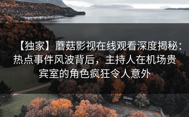 【独家】蘑菇影视在线观看深度揭秘：热点事件风波背后，主持人在机场贵宾室的角色疯狂令人意外