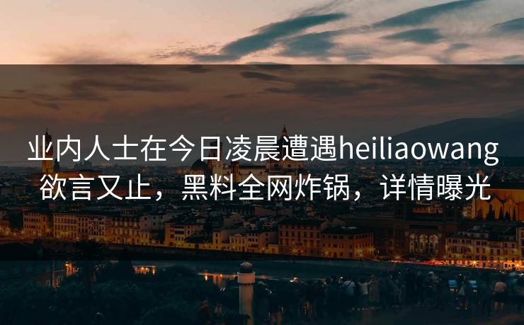业内人士在今日凌晨遭遇heiliaowang 欲言又止，黑料全网炸锅，详情曝光