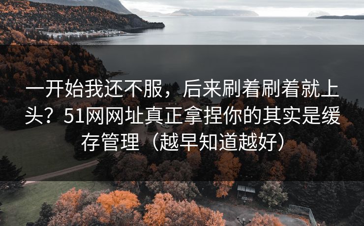 一开始我还不服，后来刷着刷着就上头？51网网址真正拿捏你的其实是缓存管理（越早知道越好）