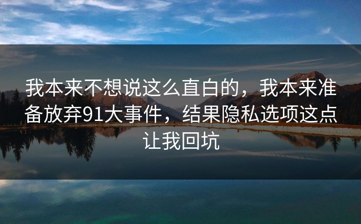 我本来不想说这么直白的，我本来准备放弃91大事件，结果隐私选项这点让我回坑